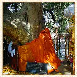 Bodhgaya